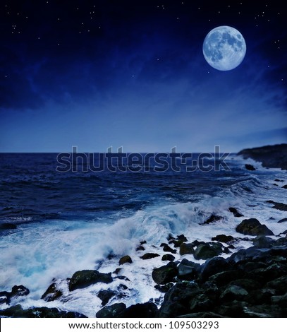 full moon and wild sea in the night