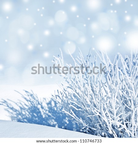 snow covered nature - winter background