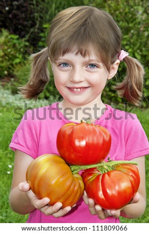 little girl holding big tomatoes in the garden