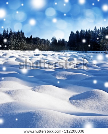 winter landscape with snow flakes