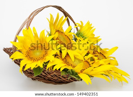 a bouquet of sunflowers in a basket