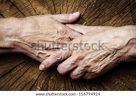 old hands and old tree
