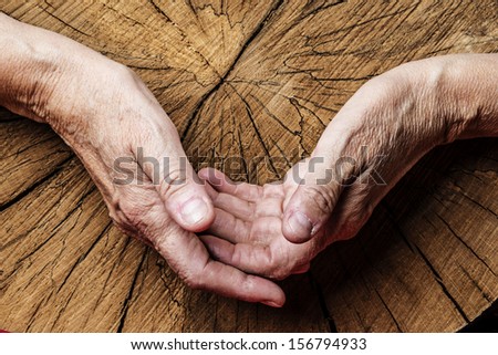 old elderly hands and old tree