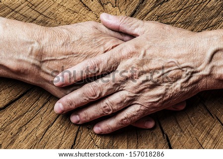 old elderly hands and old tree - concept