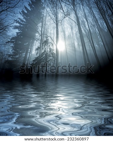 an autumn forest and fog above water level