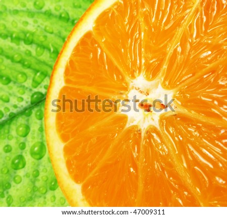 fresh orange with leave macro