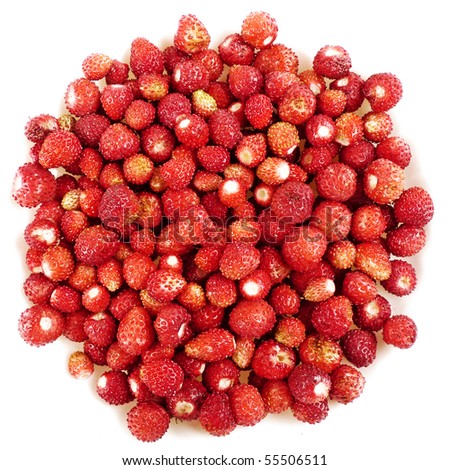 forest strawberries