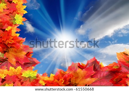 blue sky with sun and clouds and fall foliage frame