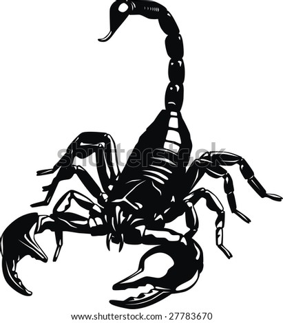 scorpion picture