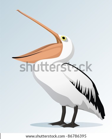Big Beak Bird