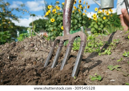 shot of digging at allotment on a bright summers day
