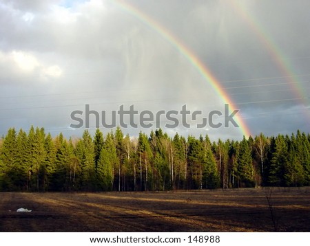 Forest rainbow