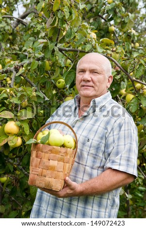 Happy elderly man with   basket  full of apples