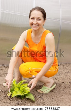 Happy  elderly  Woman Gardening In The Springtime Sunshine