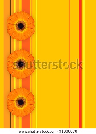 three nice gerbera on illustrated background with stripes