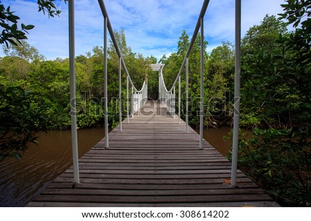 Bridge Thanh Lam In the forest