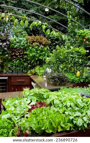 Garden kitchen at Chelsea Flower Show