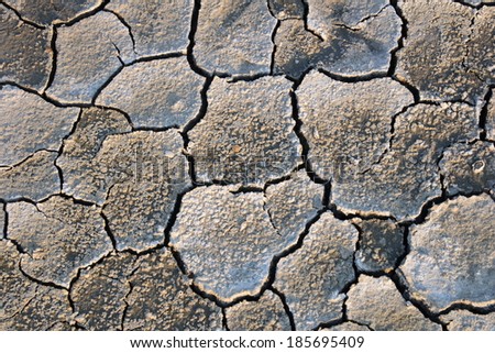 Cracked dry lake bed at Neusiedler See, Austria.