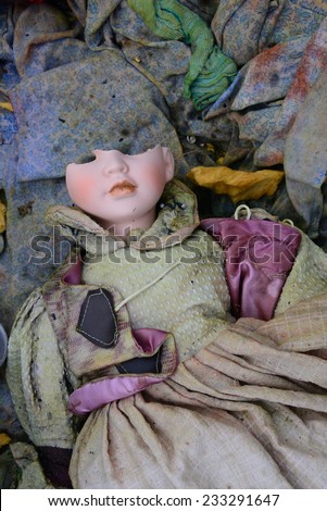 A doll with a broken head on a trash site near Bratislava, Slovakia.