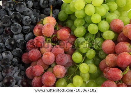 Purple, red and green grapes