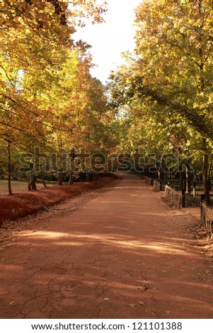 Autumn landscape with a beautiful road with colored trees