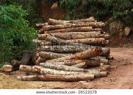 pile of wood storage