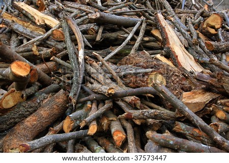 pile of wood storage