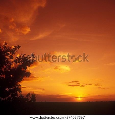 Beautiful orange sunset. No digitally altered.