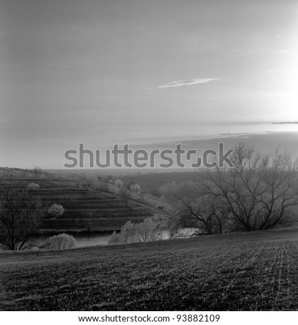 Spring landscape. Black & white film, orange filter.