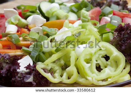 Diet lunch - plate of vegetable salad