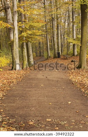 Trail in forest - rest place with bench