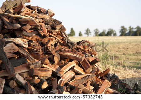 Pile of fuel wood in a field