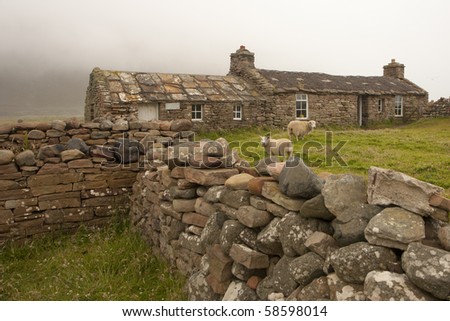 Sheep and hut of stone on an Orkney island