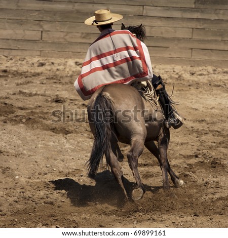 Chilean rodeo - traditional sport of horsemen