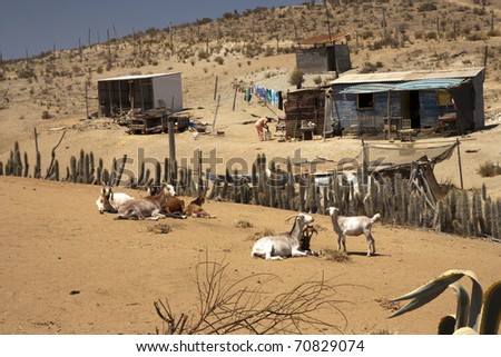 Poor houses in a small village in desert