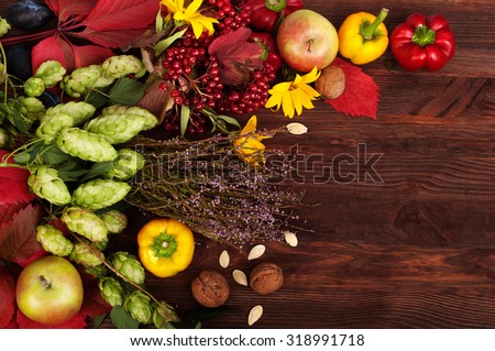 Frame of autumn vegetables, fruits, flowers and herbs on a wooden dark background; autumn still life; the substrate for the menu; autumn menu; harvesting; grapes; viburnum; pepper; hop