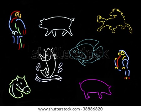 Animals Neon