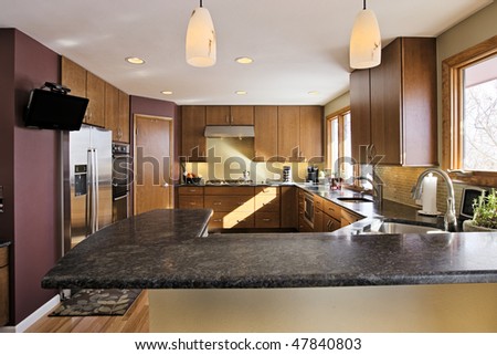 Elegant Kitchen Remodel