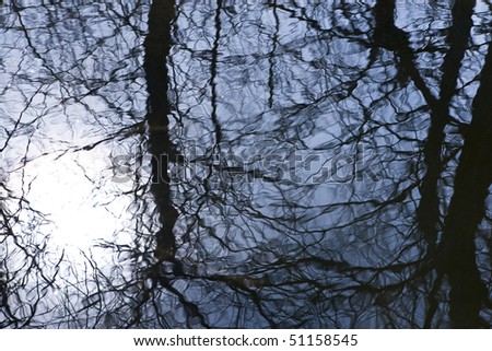 Dark Tree Reflection in Lake Water. Focus on tree branch reflections.