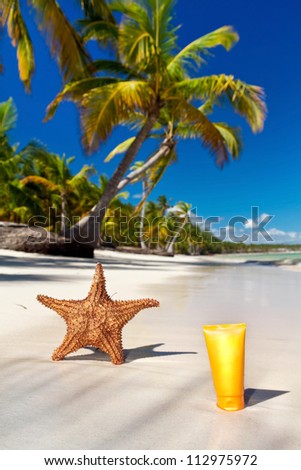 Starfish and sunblock tube on caribbean sea coastline with palms, Dominican Republic