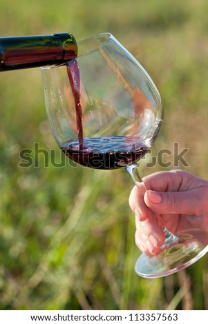 Wine pouring from bottle, outdoor picnic