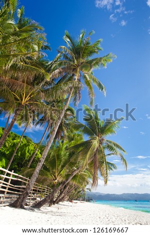 Idyllic tropical scene, Philippines, Boracay island