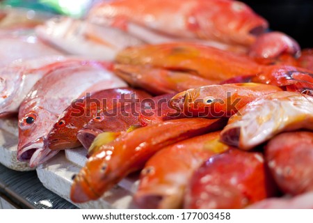 Lapu-lapu, red snapper and tuna, seafood on asian market
