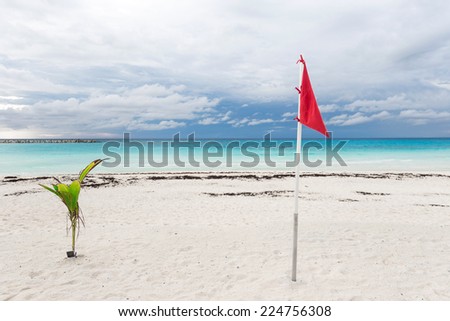 Lifeguard flag on caribbean beach, Cancun, Mexico