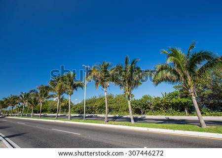 Caribbean street road with palm trees