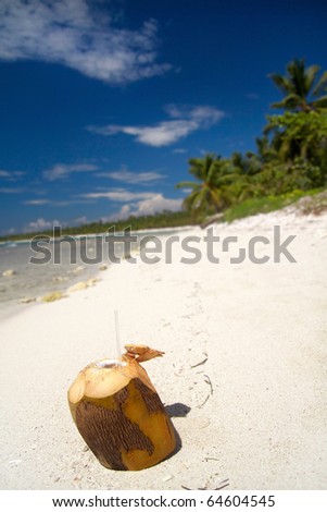 Coconut on caribbean sea, Dominican Republic