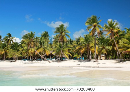 Palms on tropical beach on caribbean sea, Island Saona