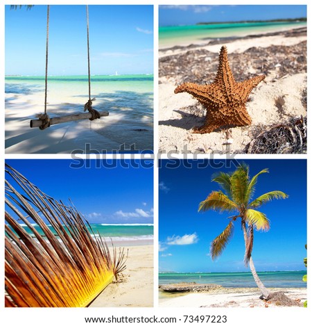 Caribbean travel collage with palm and coastline