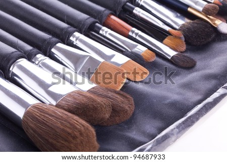 Set of professional make-up brushes in leather case