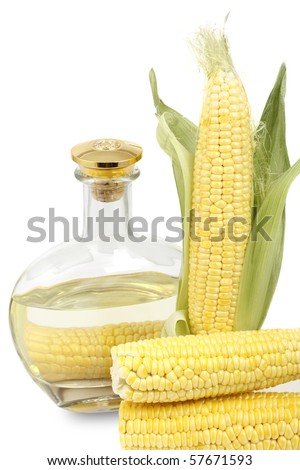 corn on the cob and a bottle of corn oil isolated on white background